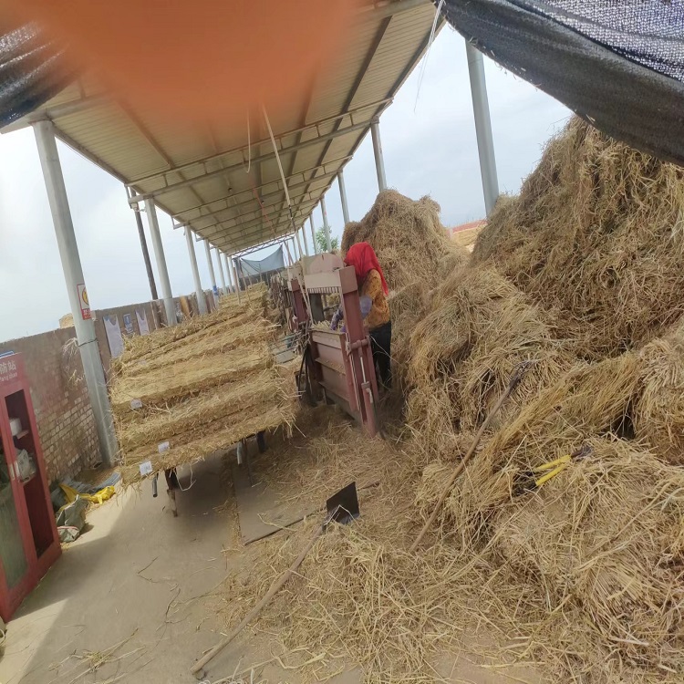 寧夏深夜成人福利