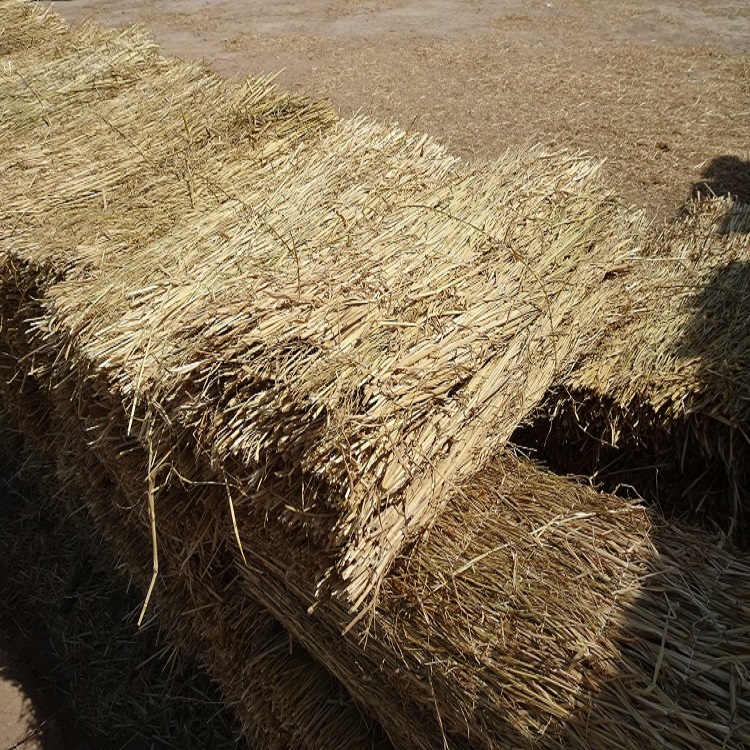 寧夏深夜成人福利廠家批發