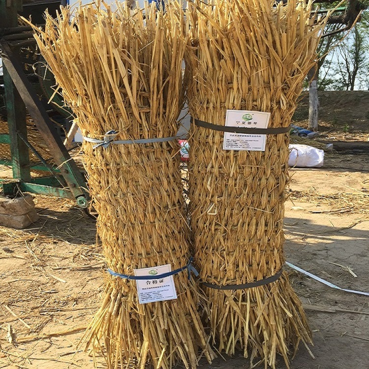 寧夏深夜成人福利子