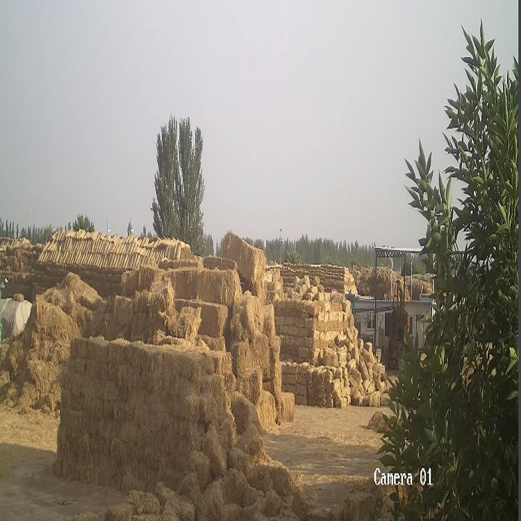 寧夏深夜成人福利廠家